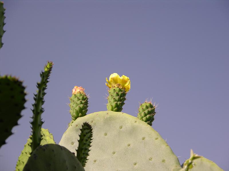 Töffausflug 'Tropea - Nicotera' (18).JPG